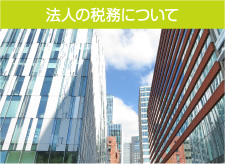 法人の税務について